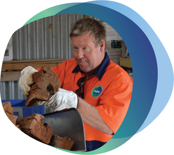 Image of man in mobo Hi Vis holding piece of redgum firewood